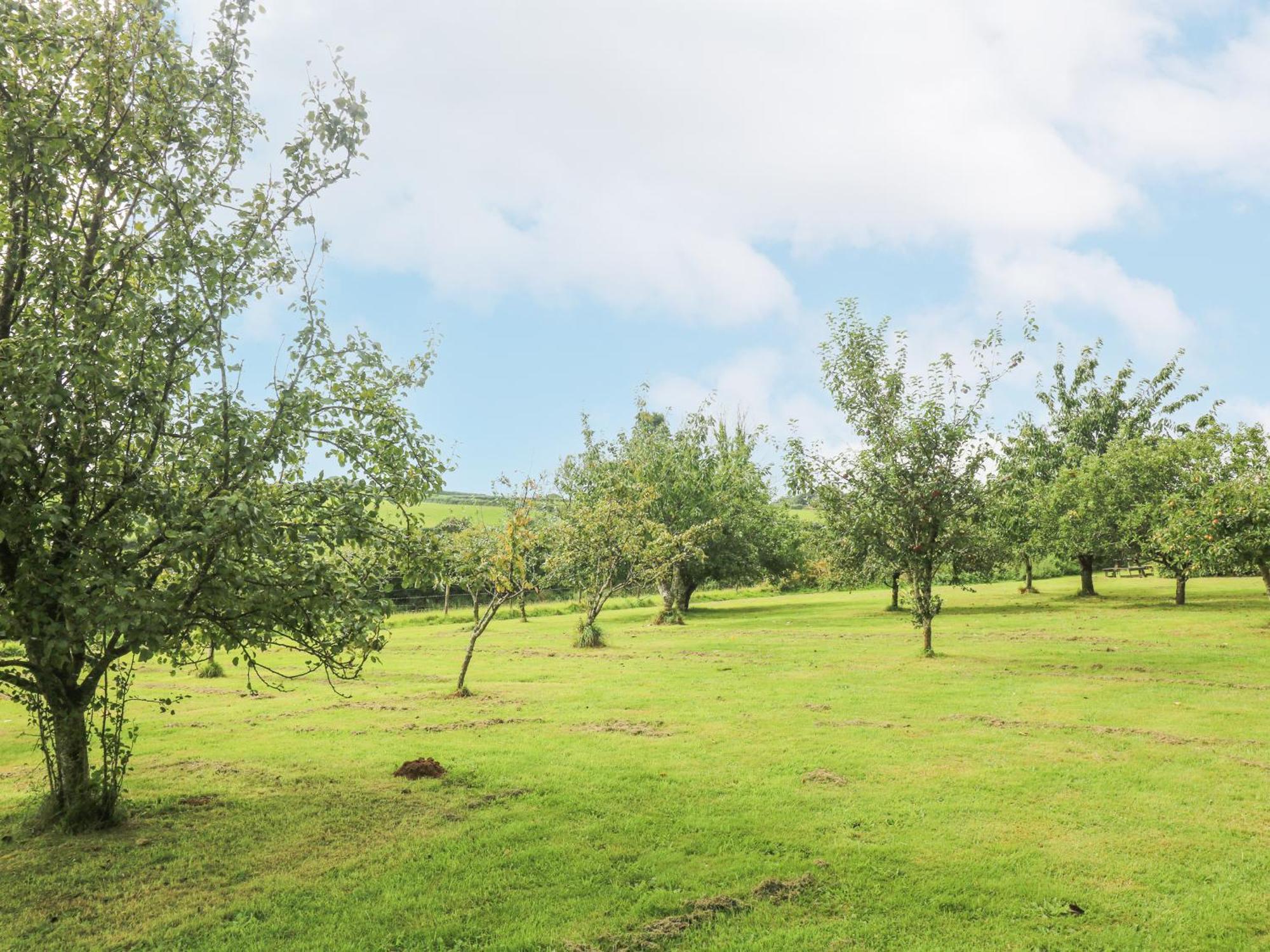 South Boduel Farmhouse ลิสคาร์ด ภายนอก รูปภาพ